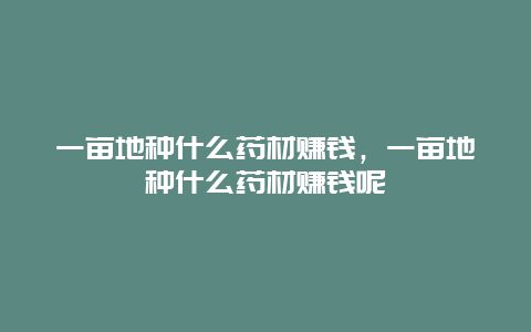 一亩地种什么药材赚钱，一亩地种什么药材赚钱呢