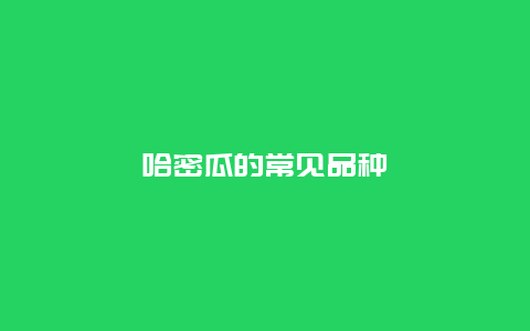 哈密瓜的常见品种