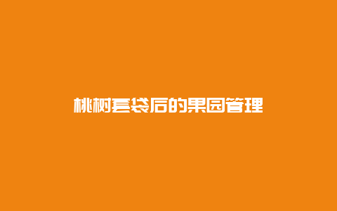 桃树套袋后的果园管理