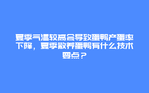 夏季气温较高会导致蛋鸭产蛋率下降，夏季散养蛋鸭有什么技术要点？