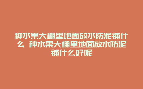 种水果大棚里地面放水防泥铺什么 种水果大棚里地面放水防泥铺什么好呢