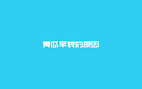 黄瓜早衰的原因