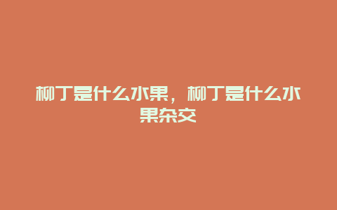 柳丁是什么水果，柳丁是什么水果杂交