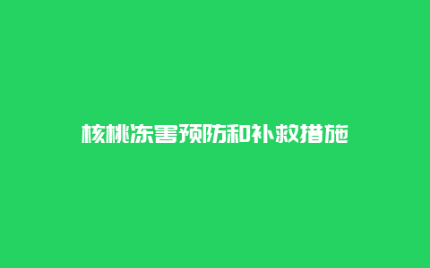 核桃冻害预防和补救措施