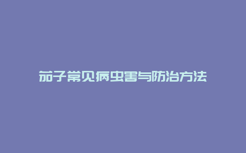 茄子常见病虫害与防治方法