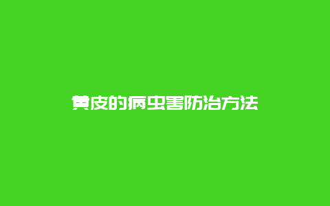 黄皮的病虫害防治方法