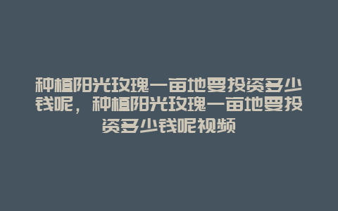 种植阳光玫瑰一亩地要投资多少钱呢，种植阳光玫瑰一亩地要投资多少钱呢视频