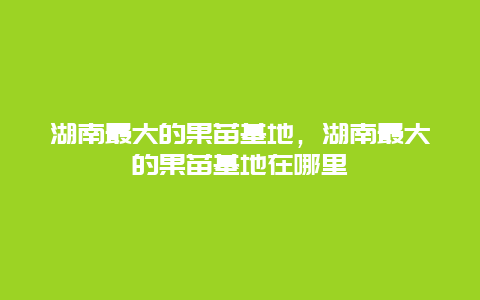 湖南最大的果苗基地，湖南最大的果苗基地在哪里