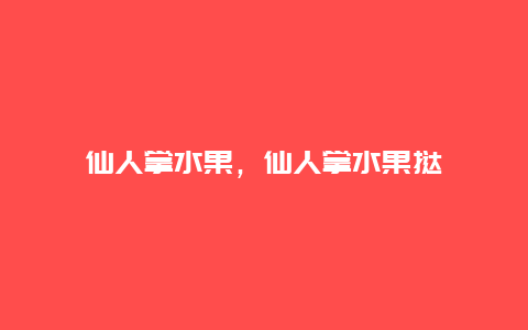 仙人掌水果，仙人掌水果挞