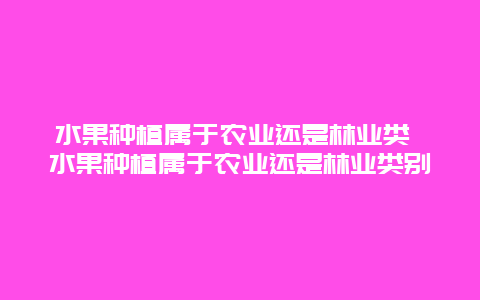 水果种植属于农业还是林业类 水果种植属于农业还是林业类别