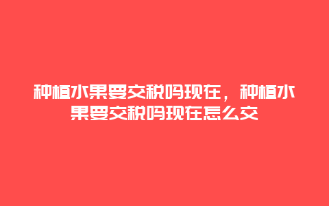 种植水果要交税吗现在，种植水果要交税吗现在怎么交