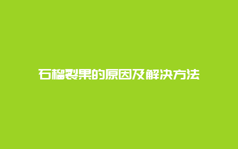 石榴裂果的原因及解决方法