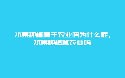 水果种植属于农业吗为什么呢，水果种植算农业吗