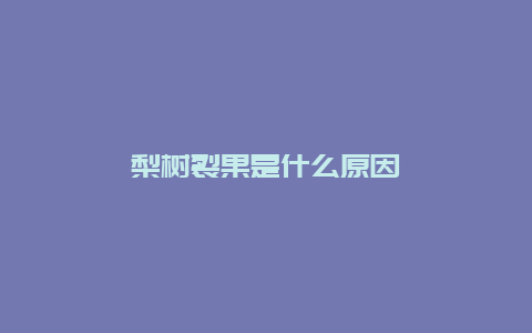 梨树裂果是什么原因