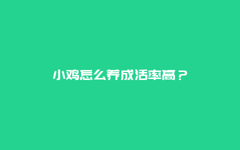 小鸡怎么养成活率高？