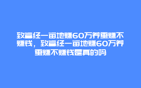 致富经一亩地赚60万养蚕赚不赚钱，致富经一亩地赚60万养蚕赚不赚钱是真的吗