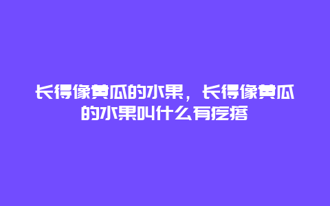 长得像黄瓜的水果，长得像黄瓜的水果叫什么有疙瘩