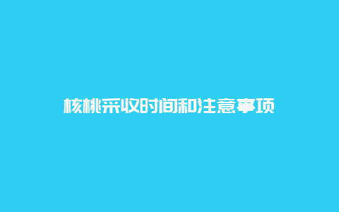 核桃采收时间和注意事项