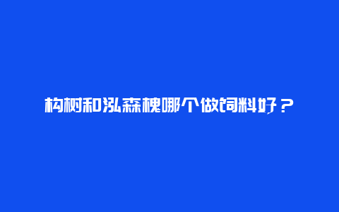 构树和泓森槐哪个做饲料好？