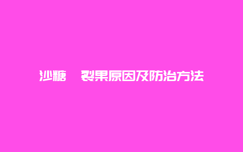 沙糖桔裂果原因及防治方法