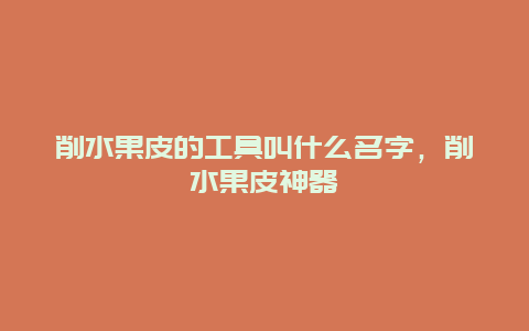 削水果皮的工具叫什么名字，削水果皮神器