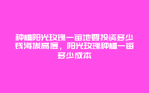 种植阳光玫瑰一亩地要投资多少钱海拔高度，阳光玫瑰种植一亩多少成本