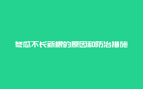 冬瓜不长新根的原因和防治措施