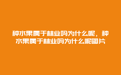 种水果属于林业吗为什么呢，种水果属于林业吗为什么呢图片