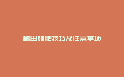 藕田施肥技巧及注意事项