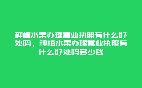 种植水果办理营业执照有什么好处吗，种植水果办理营业执照有什么好处吗多少钱