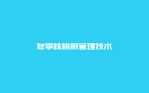 冬季核桃树管理技术