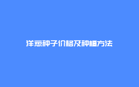 洋葱种子价格及种植方法