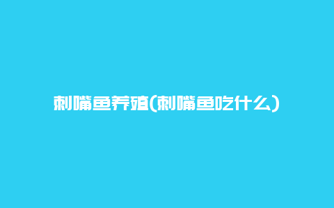 刺嘴鱼养殖(刺嘴鱼吃什么)