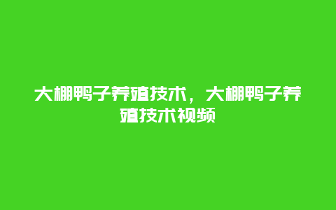 大棚鸭子养殖技术，大棚鸭子养殖技术视频