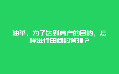 油菜，为了达到高产的目的，怎样进行田间的管理？