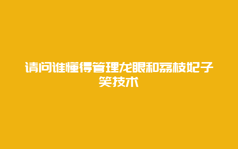 请问谁懂得管理龙眼和荔枝妃子笑技术