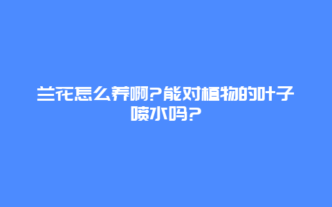 兰花怎么养啊?能对植物的叶子喷水吗?