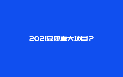 2021安康重大项目？