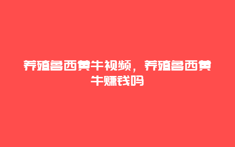 养殖鲁西黄牛视频，养殖鲁西黄牛赚钱吗