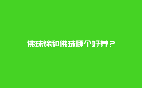 佛珠锦和佛珠哪个好养？