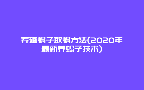 养殖蝎子取蝎方法(2020年最新养蝎子技术)