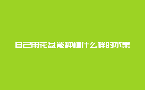 自己用花盆能种植什么样的水果