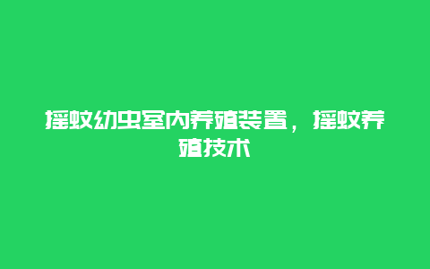 摇蚊幼虫室内养殖装置，摇蚊养殖技术