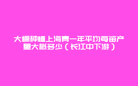 大棚种植上海青一年平均每亩产量大概多少（长江中下游）