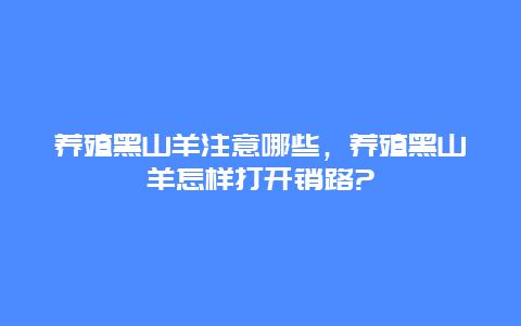 养殖黑山羊注意哪些，养殖黑山羊怎样打开销路?