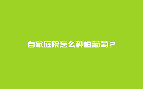 自家庭院怎么种植葡萄？