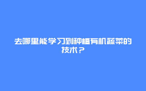 去哪里能学习到种植有机蔬菜的技术？