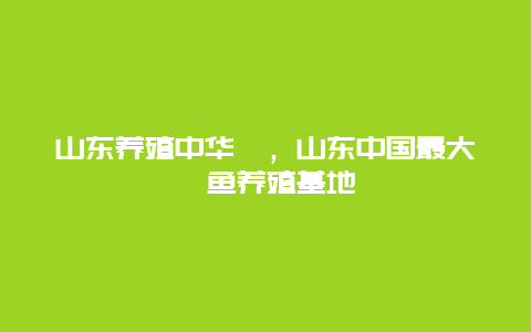 山东养殖中华鲟，山东中国最大鲟鱼养殖基地