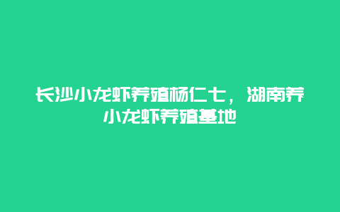 长沙小龙虾养殖杨仁七，湖南养小龙虾养殖基地