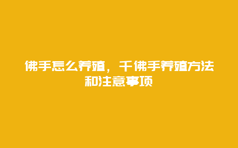 佛手怎么养殖，千佛手养殖方法和注意事项